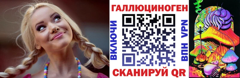 Купить закладки  Хасавюрт  Галлюциногенные грибы Psilocybe 